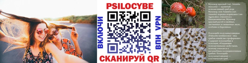 Псилоцибиновые грибы мицелий Катав-Ивановск